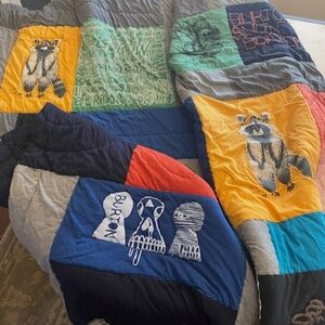 Pottery Barn Teen Burton F/Q Comforter (Collector Edition) SET